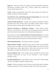 Dirginantys ir alergizuojantys ingredientai 11 puslapis