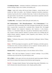 Dirginantys ir alergizuojantys ingredientai 9 puslapis