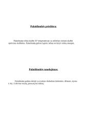 Drabužių modeliavimas 6 puslapis