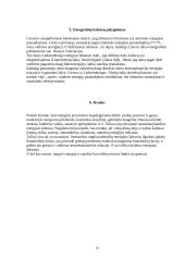 Dviejų šalių energetikos sektorių palyginimas: Lietuva ir Liuksemburgas 13 puslapis