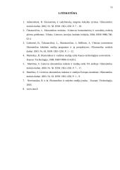Ekonomikos specialistų rengimo sistema Lietuvoje 15 puslapis