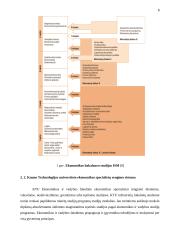 Ekonomikos specialistų rengimo sistema Lietuvoje 8 puslapis