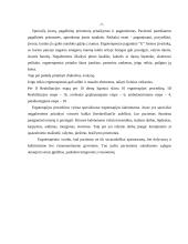 Ergoterapija ir jos vaidmuo reabilitacijos sistemoje 10 puslapis