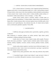 Estetinis grožis lietuvių tautiniuose rūbuose 3 puslapis