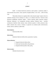 Funkciniai kalbos stiliai, jų požymiai, sąveika 2 puslapis