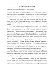 Funkciniai kalbos stiliai, jų požymiai, sąveika 8 puslapis