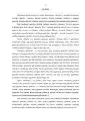 Gamyba. Gamybos veiksniai 2 puslapis