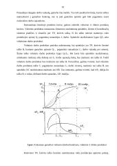Gamyba. Gamybos veiksniai 9 puslapis