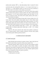 Gamyba. Gamybos veiksniai 10 puslapis