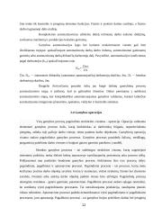 Gamybos klasifikacija. Gamybos kooperacija 12 puslapis