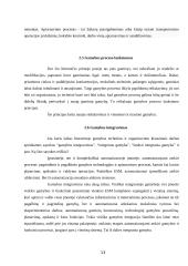 Gamybos klasifikacija. Gamybos kooperacija 13 puslapis
