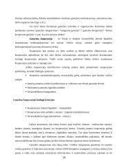 Gamybos klasifikacija. Gamybos kooperacija 19 puslapis
