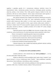 Gamybos klasifikacija. Gamybos kooperacija 20 puslapis