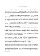Gamybos klasifikacija. Gamybos kooperacija 4 puslapis