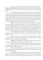 Gamybos klasifikacija. Gamybos kooperacija 5 puslapis