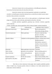 Gamybos klasifikacija. Gamybos kooperacija 8 puslapis