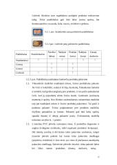 Gaminių pakavimas 13 puslapis