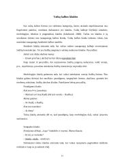 Gimtosios kalbos įsisavinimas 11 puslapis