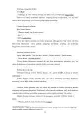 Gimtosios kalbos įsisavinimas 12 puslapis