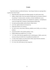 Gimtosios kalbos įsisavinimas 14 puslapis