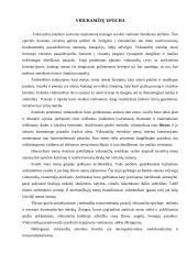 Gotikos stilius su pavyzdžiais 8 puslapis