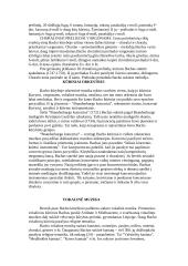 Johanas Sebastianas Bachas. Jo biografija bei kūryba 3 puslapis