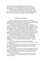 Johanas Sebastianas Bachas. Jo biografija bei kūryba 4 puslapis