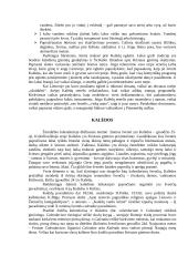 Kalendorinės visų metų šventės 14 puslapis