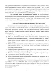 Kauno fortai 5 puslapis