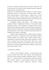 Knygrišyklinės medžiagos 5 puslapis