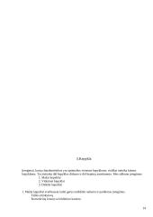 Konditerinių gaminių įrengimai 13 puslapis