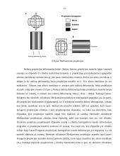 Koordinačių sistemos ir žemėlapių projekcijos 13 puslapis
