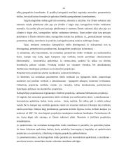 Koordinačių sistemos ir žemėlapių projekcijos 20 puslapis