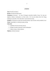 Kostiumų istorija ir oficialus kostiumai 3 puslapis