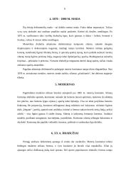 Kostiumų istorija ir oficialus kostiumai 6 puslapis