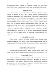 Kostiumų istorija ir oficialus kostiumai 8 puslapis