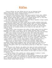 Laiko atsinaujinimo ir saulės sugrįžimo šventės 2 puslapis