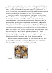 Lietuvių apeiginiai valgiai 4 puslapis