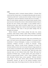 Lietuvių kulinarinis paveldas 2 puslapis