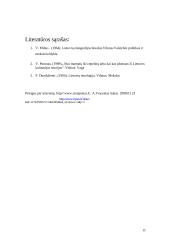 Lietuvių kulinarinis paveldas 11 puslapis