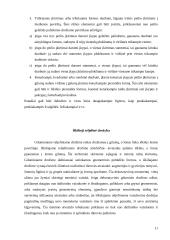 Lietuvių liaudies raižiniai 11 puslapis