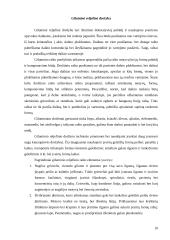 Lietuvių liaudies raižiniai 10 puslapis