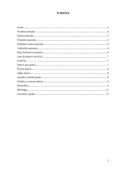 Lietuvių tautosakos skirtumai 2 puslapis