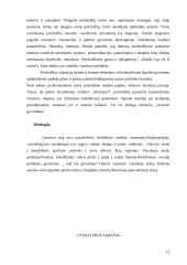 Lietuvių tautosakos skirtumai 12 puslapis