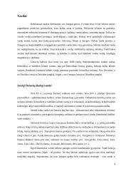 Lietuvių vardų bei pavardžių kilmė ir pagrindiniai bruožai 4 puslapis