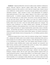 Lietuvių vestuvių apeigos ir papročiai 8 puslapis