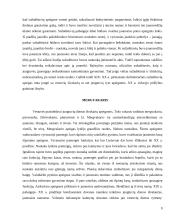Lietuvių vestuvių apeigos ir papročiai 9 puslapis