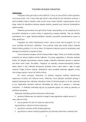 Lietuvos ir Vengrijos švietimo sistemų palyginimas 4 puslapis