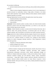 Lietuvos ir Vengrijos švietimo sistemų palyginimas 5 puslapis