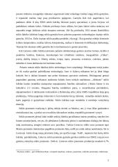 Lietuvos stiklo pramonė 2 puslapis